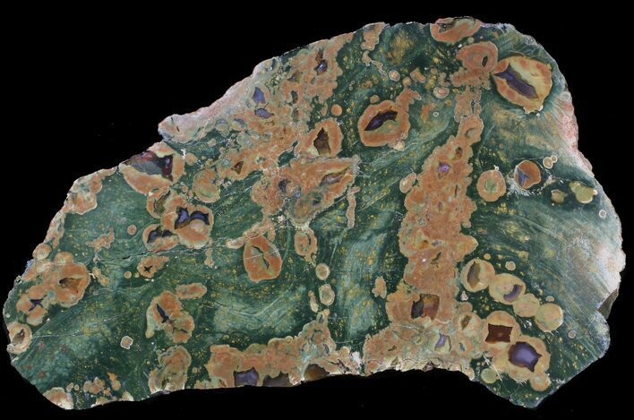 Polished Rainforest Jasper (Rhyolite) Slab - Australia #62784